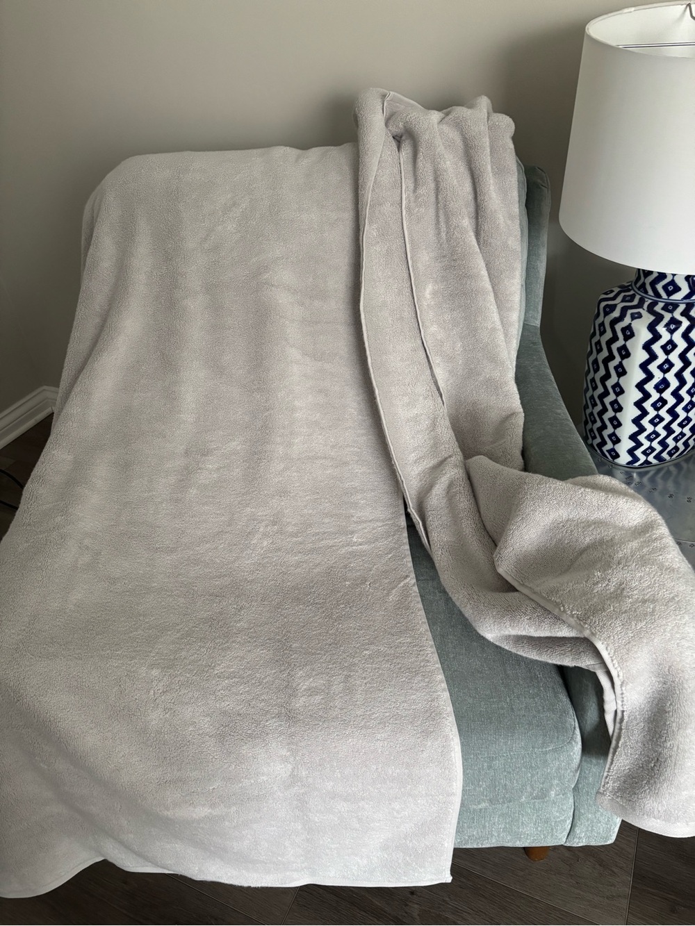 2 Pottery Barn Light Gray soft bath towels dream large
